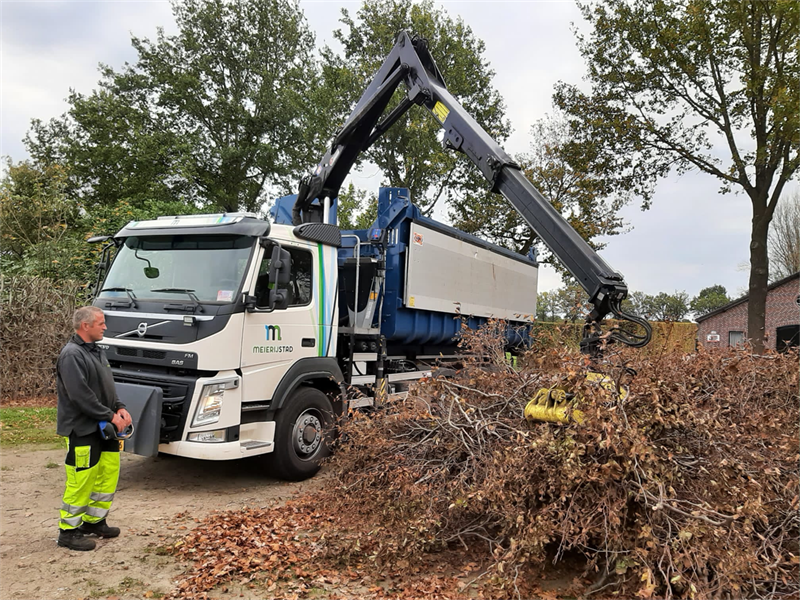 Foto snoeihoutservice Meierijstad